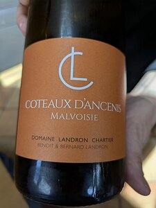 20250522_PXL121441859_Pixel7a-JEB